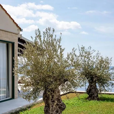 Villa House Olive 3 ****